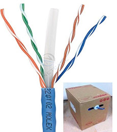 Molex CAT 6 -M